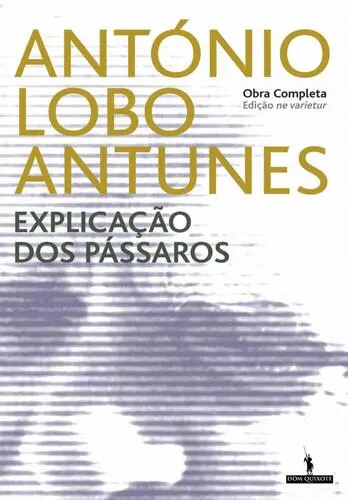 Explicação dos Pássaros