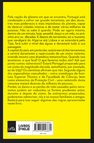 Como Sobreviver a Um Terramoto em Portug - (Imagem 3 de 5)