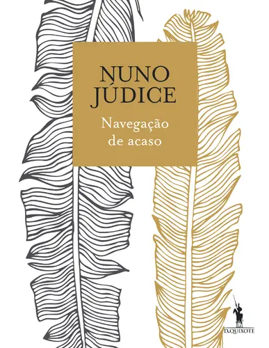 Navegação de Acaso