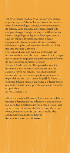 Ressuscitar Mamutes - (Imagem 3 de 4)
