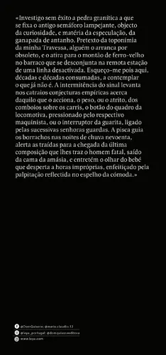 Pôr-do-Sol com Leão - (Imagem 4 de 4)
