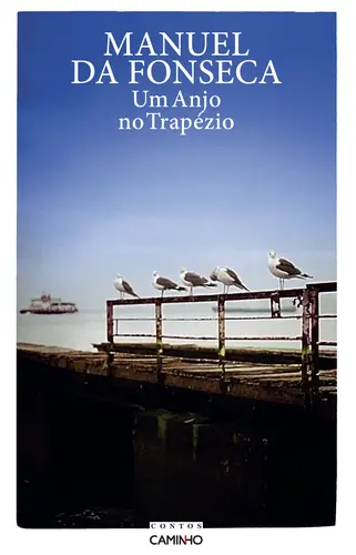 Um Anjo No Trapézio