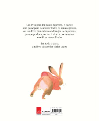 Uma Lebre com Pressa, com muita, muita Pressa! - (Imagem 2 de 5)