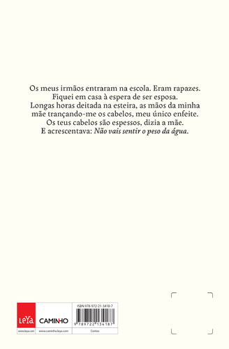 Compêndio para Desenterrar Nuvens (Nova Capa) - (Imagem 2 de 4)