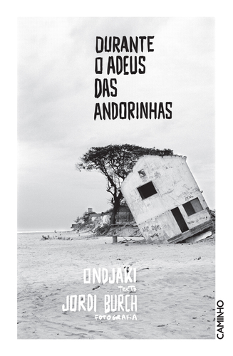 Capa do artigo Durante o Adeus das Andorinhas