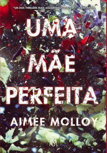 Uma mãe perfeita