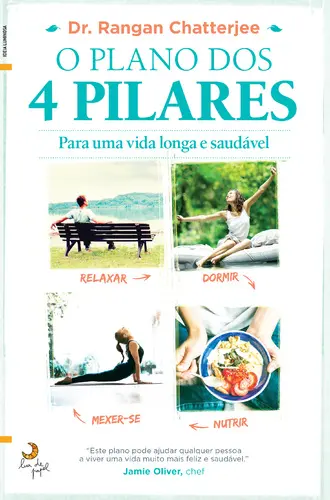 O Plano dos 4 Pilares