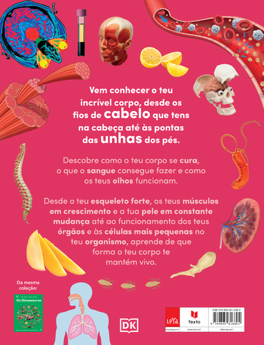 Um Olhar Curioso Sobre o Corpo Humano - (Imagem 2 de 2)