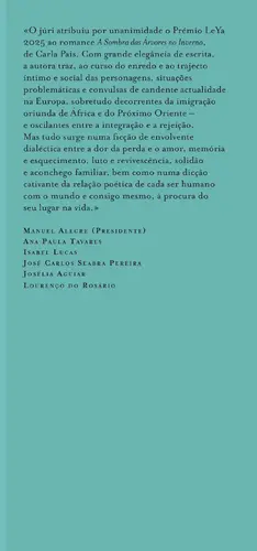 A Sombra das Árvores no Inverno