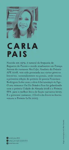 A Sombra das Árvores no Inverno