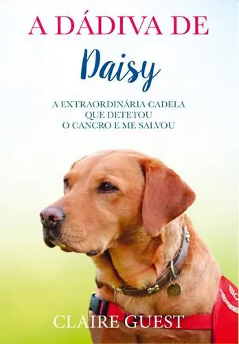 Capa do artigo Dádiva de Daisy