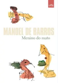 Menino do Mato