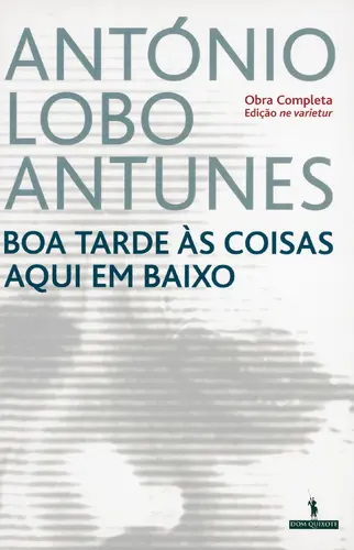 Boa Tarde às Coisas Aqui em Baixo-nv
