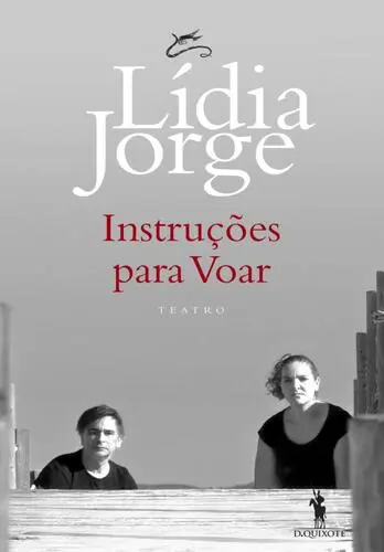 Instruções para Voar
