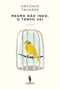 Mesmo Não Indo, o Tempo Vai