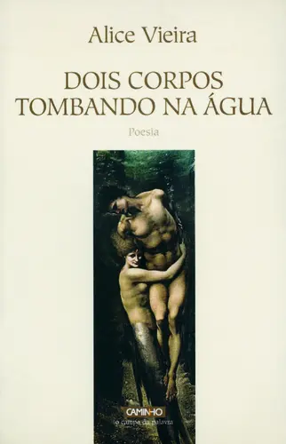 Dois Corpos Tombando Na Água