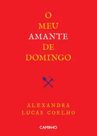 O Meu Amante de Domingo