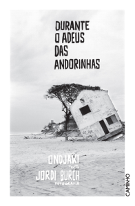 Durante o Adeus das Andorinhas