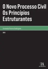 O Novo Processo Civil - Os Princípios Es