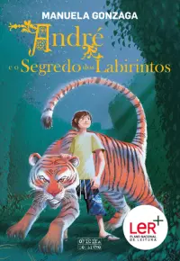 André E O Segredo Dos Labirintos