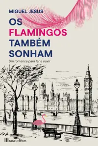 Os Flamingos também Sonham